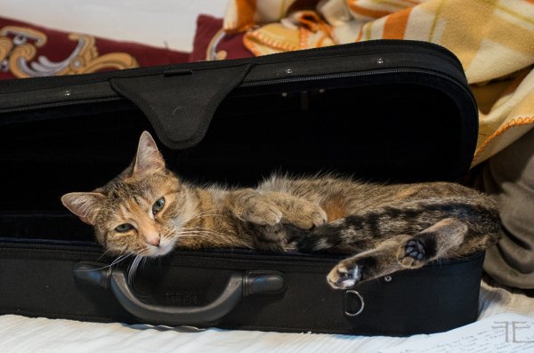 20190127-_IGP5164.jpg 20190127-_IGP5164.jpg