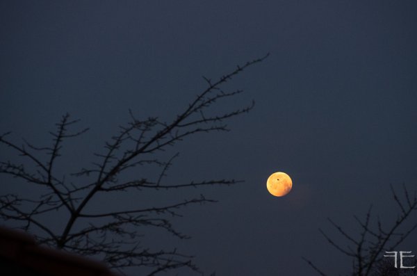 20190121-_IGP5163.jpg 20190121-_IGP5163.jpg