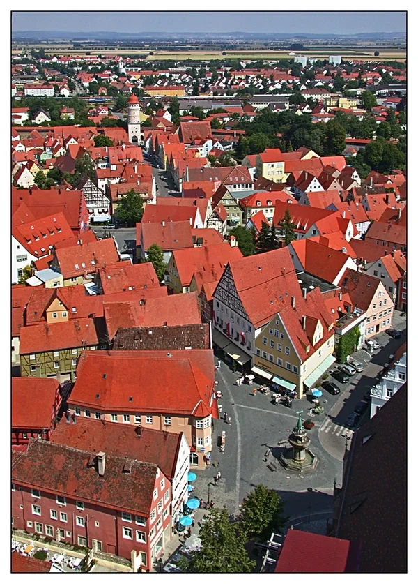 _small_DSCN4465.webp