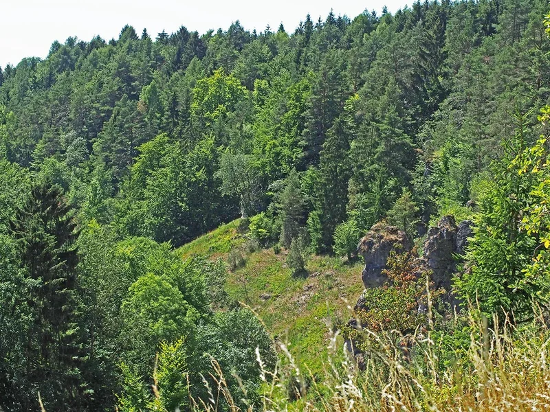 P7070084 Kopie.webp
