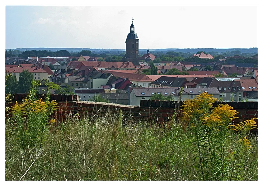 _small_DSCN5609.webp