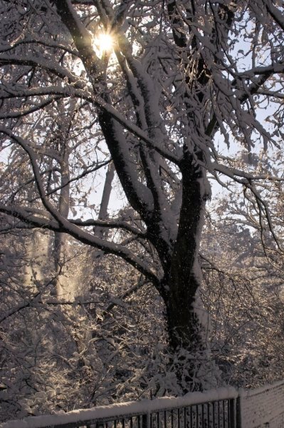 IMG07203-a.jpg