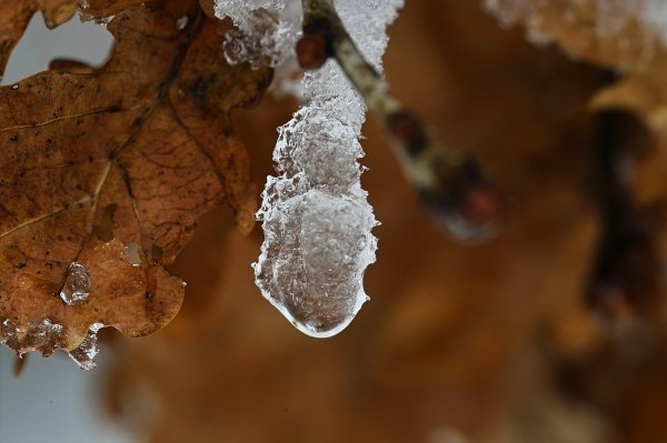 IMG07458-a.jpg