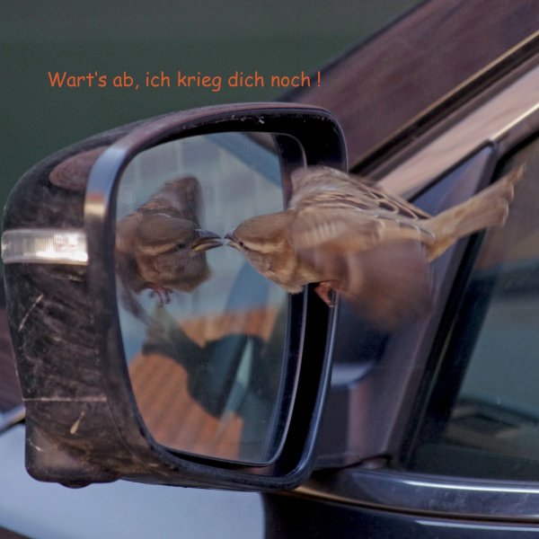 comp_485vvxxx.jpg comp_485vvxxx.jpg