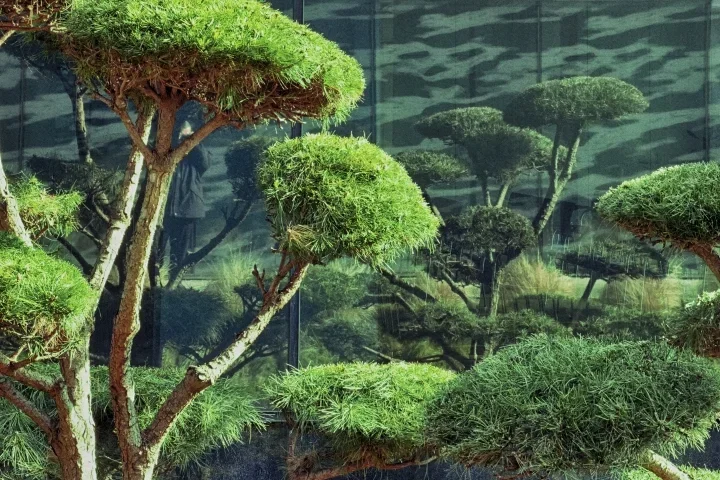 LinzAGBaumdschungelmSpiegelungFassadeCL1856FINTMPFINFINFIN_720x480.jpg