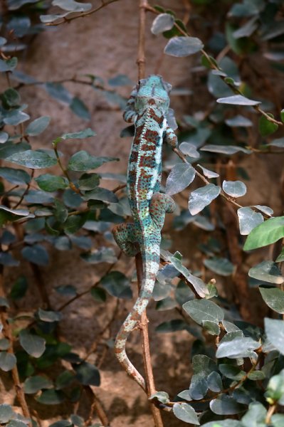 C1198965.JPG