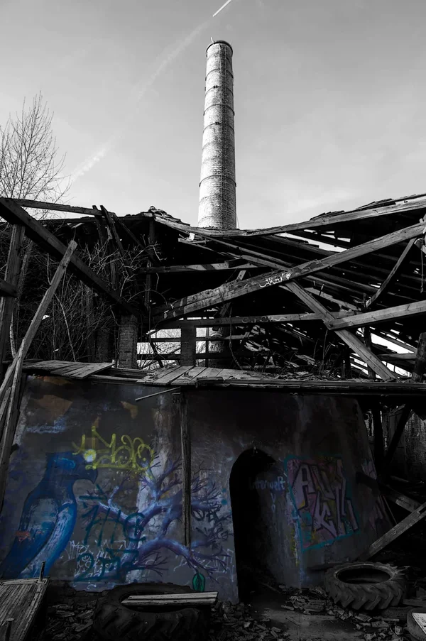 IMGP5359-2.webp