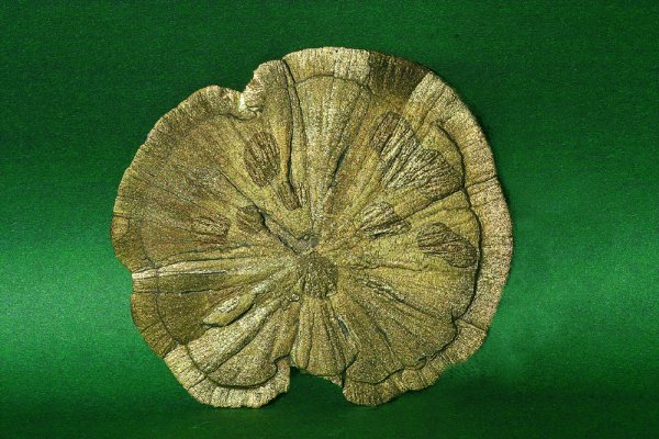 IMG07878-1000Px.jpg