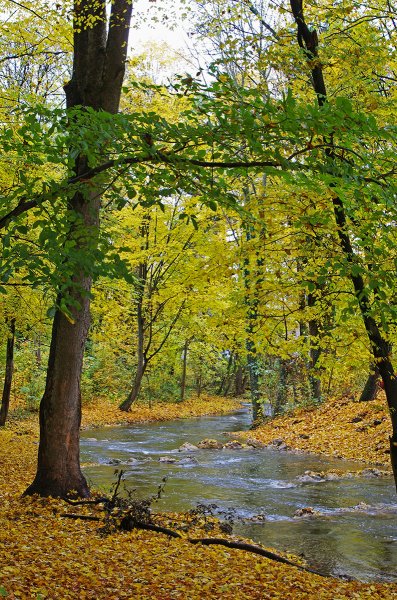 IMGP4769 Kopie Sylvia Glaas 27 10 2012 Kopie.jpg IMGP4769 Kopie Sylvia Glaas 27 10 2012 Kopie.jpg