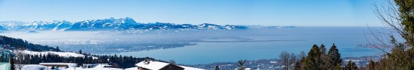 DSC_6881-Panorama2200.jpg