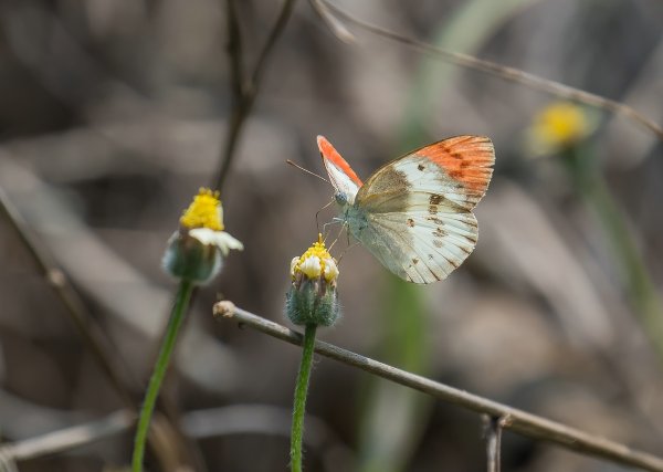 forumP1301746-Bearbeitet.jpg