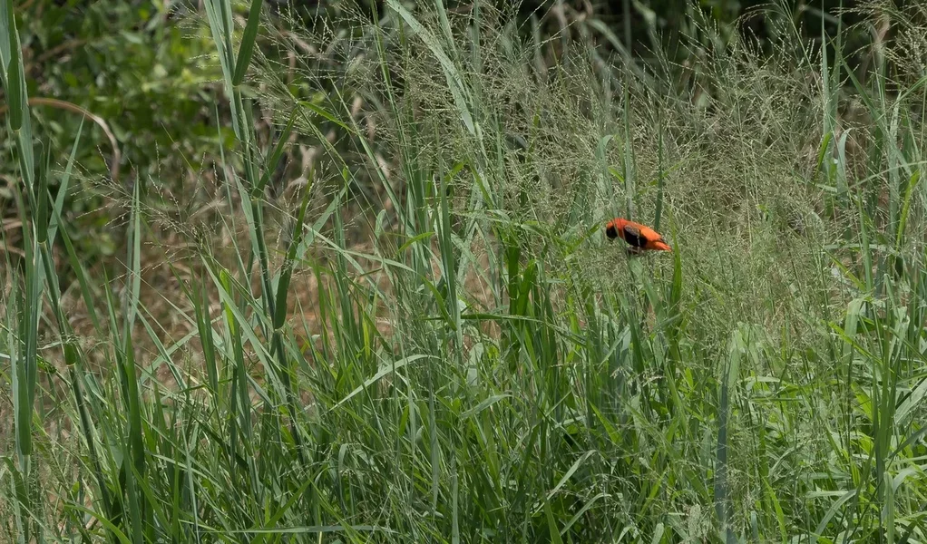 forumP2012072.webp