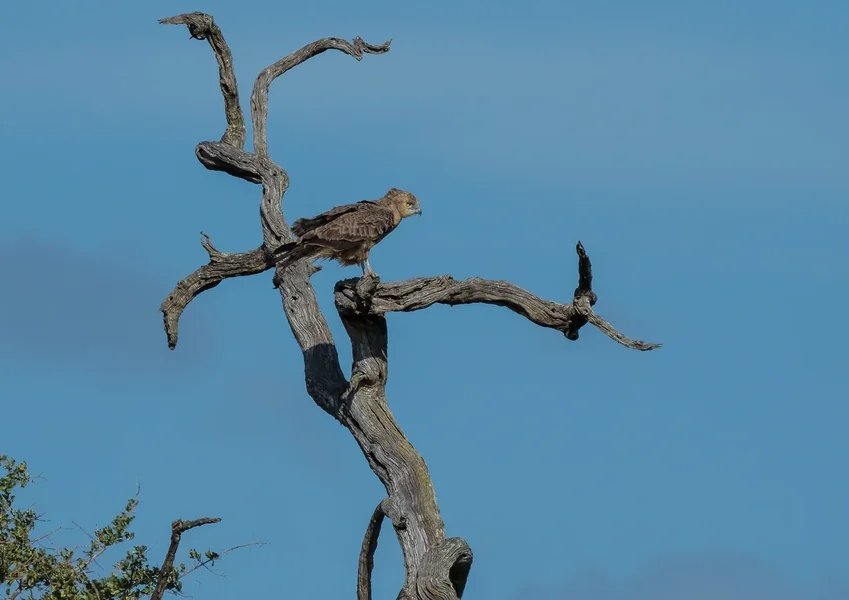forumP2012271-Bearbeitet.webp