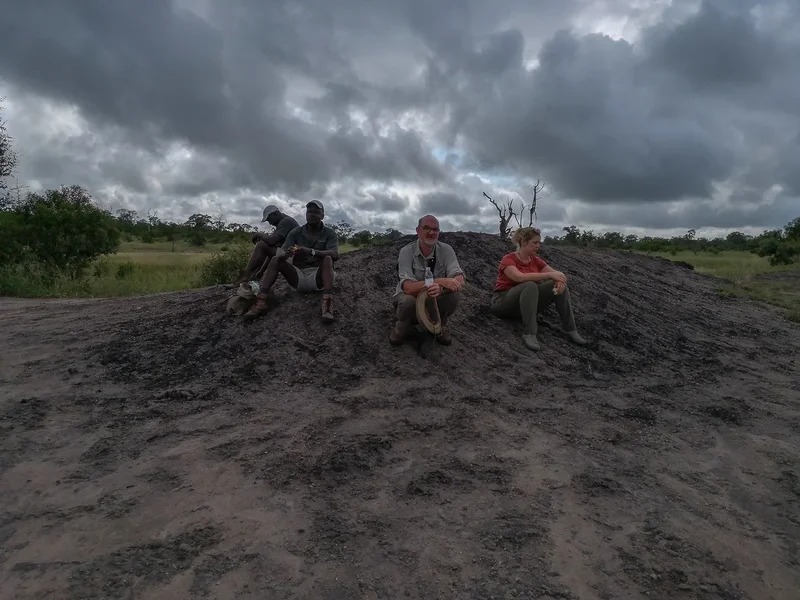 forumIMG_20190206_075806.webp