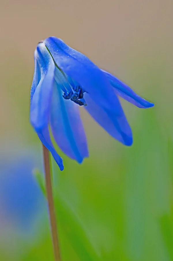 IMGP5717-1.webp
