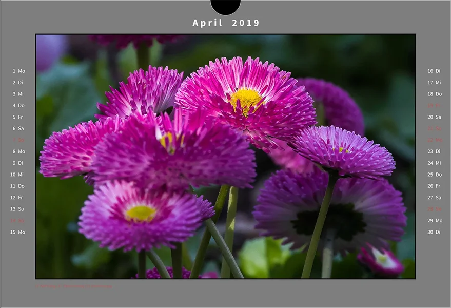 04 Kalender Natur.webp