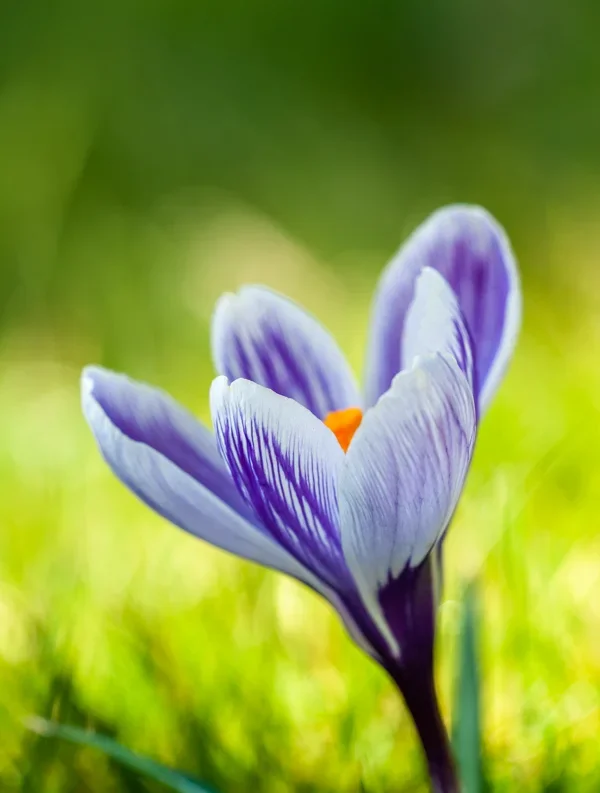 April 2019.webp