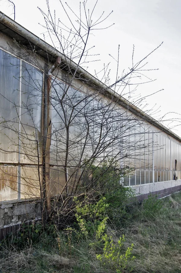 IMGP2003 30. März 2019 Lagerhalle Moosstraße.webp