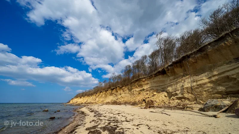 CI_181_Poel_Maerz2019.webp