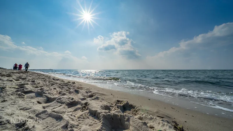 CI_238_Poel_Maerz2019.webp
