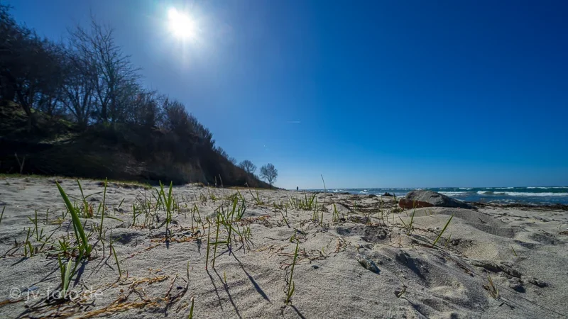 CI_412_Poel_Maerz2019.jpg