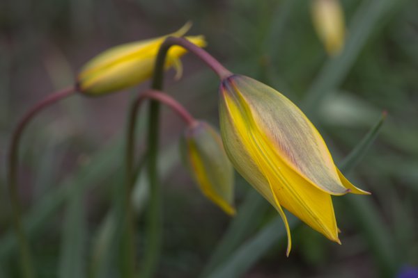 _IMG2798 13. April 2019 Steppach.jpg