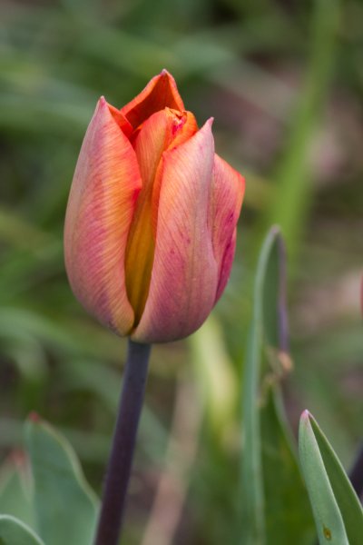 _IMG2804 13. April 2019 Steppach.jpg