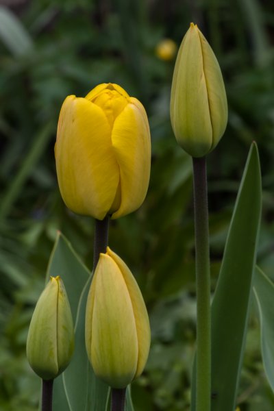 _IMG2771 13. April 2019 Steppach.jpg