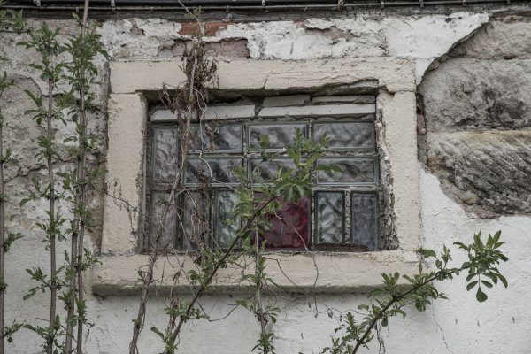 _IMG2455 13. April 2019 Mühle 02.jpg