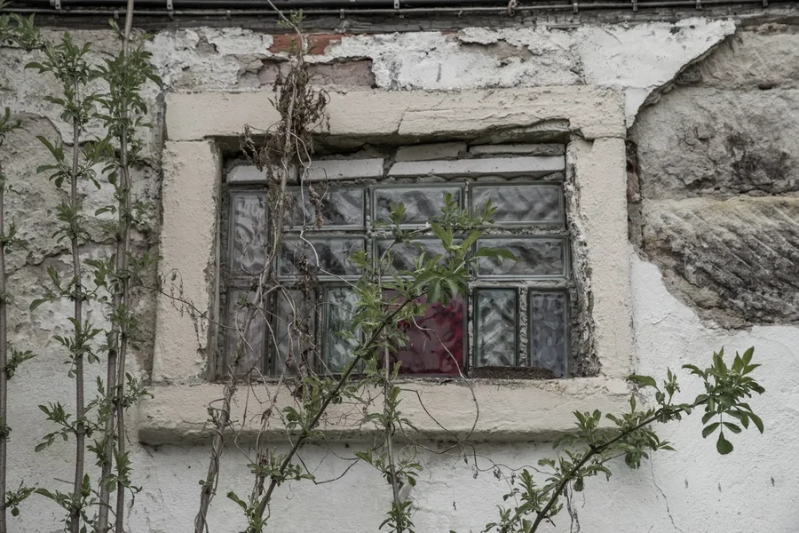 _IMG2455 13. April 2019 Mühle 02.webp _IMG2455 13. April 2019 Mühle 02.webp