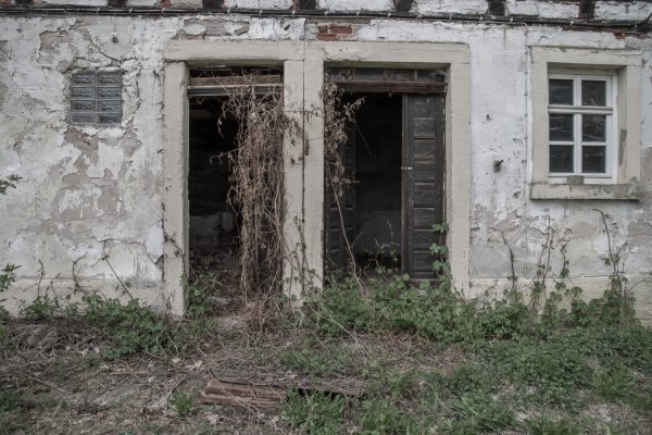 _IMG2474 13. April 2019 Mühle 02.jpg