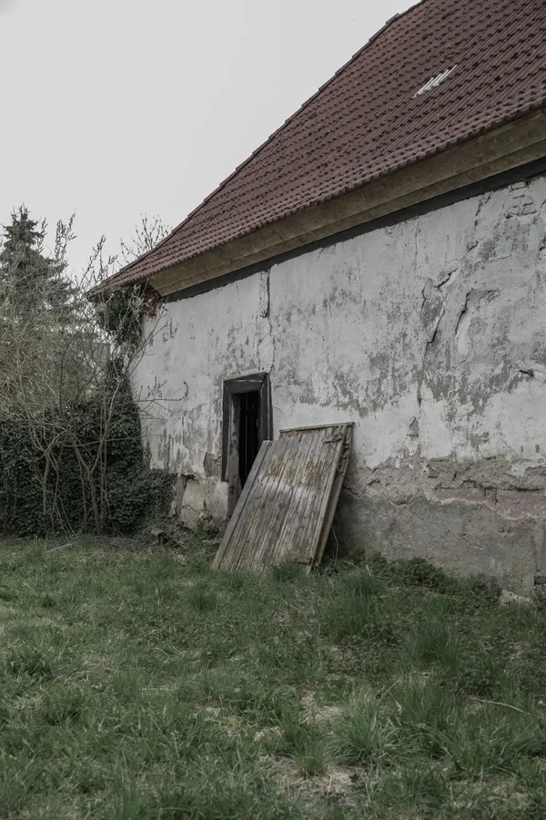 _IMG2478 13. April 2019 Mühle 02.webp _IMG2478 13. April 2019 Mühle 02.webp