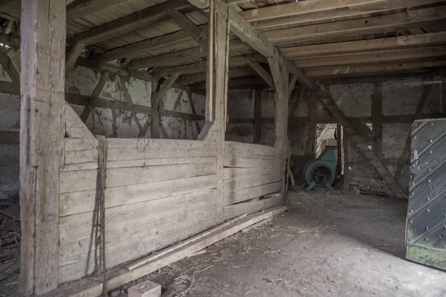 _IMG2497 13. April 2019 Mühle 02.webp _IMG2497 13. April 2019 Mühle 02.webp