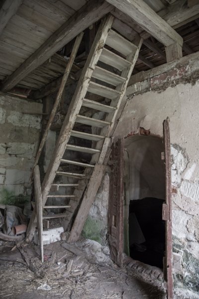 _IMG2468 13. April 2019 Mühle 02.jpg