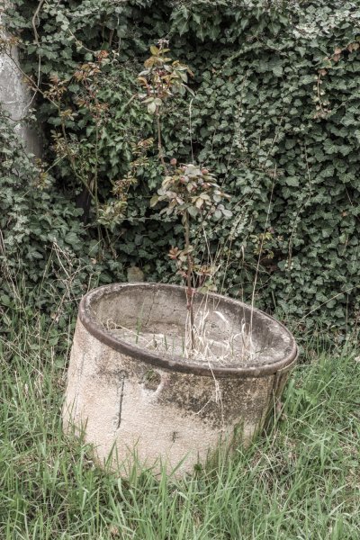 _IMG2494 13. April 2019 Mühle.jpg