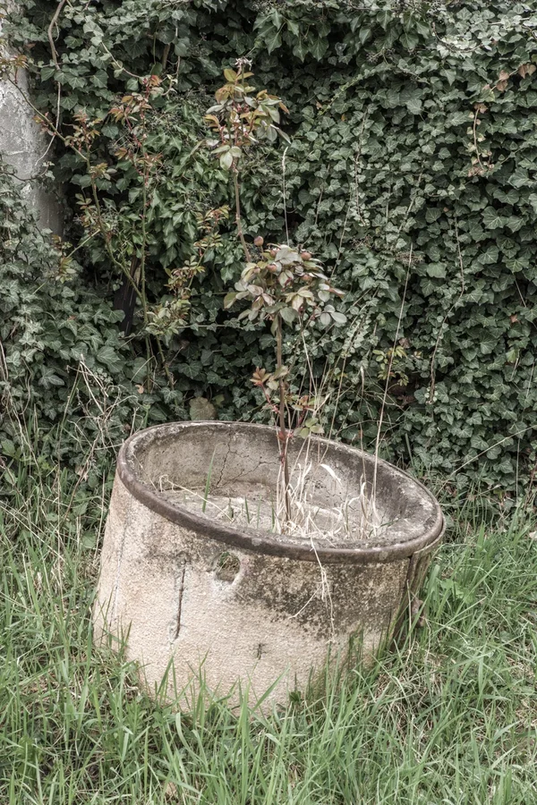 _IMG2494 13. April 2019 Mühle.webp _IMG2494 13. April 2019 Mühle.webp