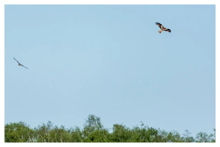 UMB_5360-Bearbeitet.webp