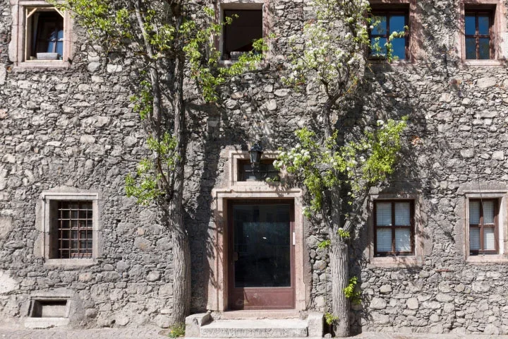 GoisernHauseingangSteinhausmPflanzeCL185FINFINFIN_720x480.jpg