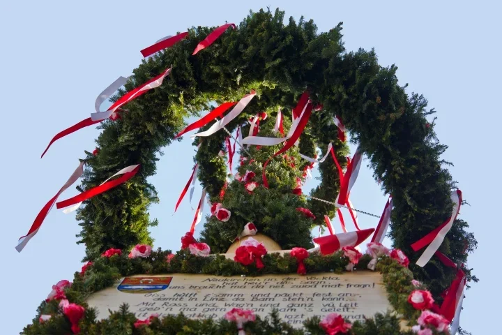 MaibaumHauptplatzvUntenCL1856FINFINFINFIN_720x480.webp