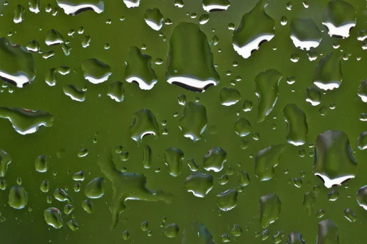 RainonwindowongreenCLLMac60FINFINFINDEN_720x480.webp