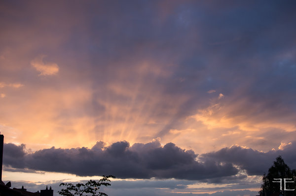 20190505-_IGP5605.jpg 20190505-_IGP5605.jpg