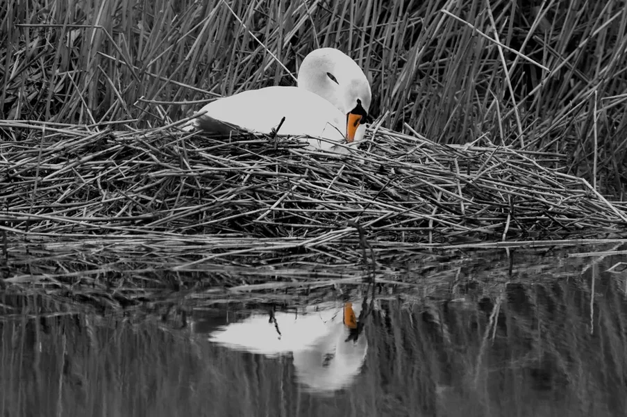 IMGP5877-ck.webp