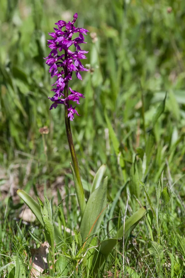 _IMG3595 13. Mai 2019 Unfinden.webp