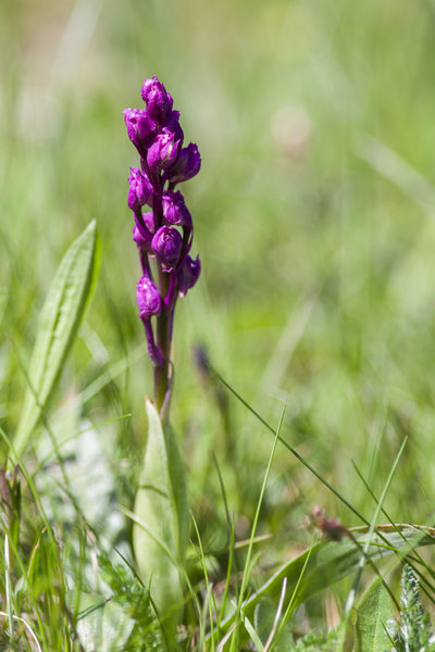 _IMG3640 13. Mai 2019 Unfinden.jpg
