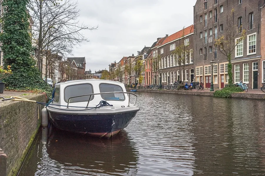 comp_DSC00409.webp