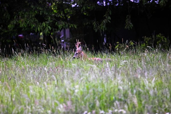 IMG07824-Px.jpg IMG07824-Px.jpg