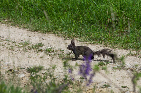 IMGP5090 Kopie 1000.jpg IMGP5090 Kopie 1000.jpg