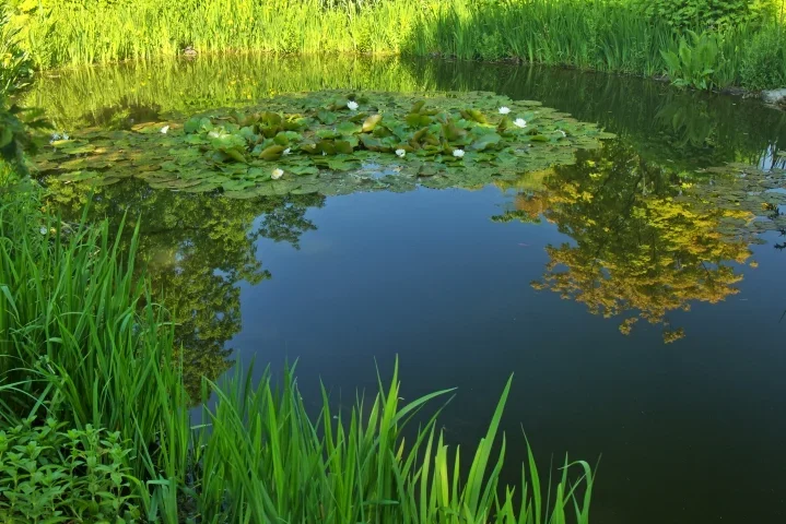 TeichBotGmSpiegelungCL2490FINFINFINENDVERSIONVARIANTE_719x480.webp
