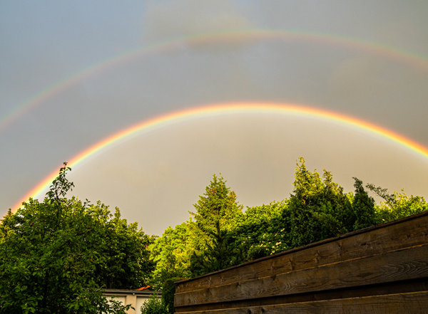 Garten Juni 19_058.jpg