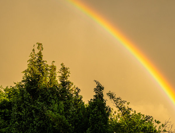 Garten Juni 19_067.jpg